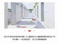 杭州禹格网络科技有限公司