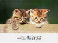 杭州禹格网络科技有限公司