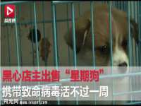 杭州禹格网络科技有限公司