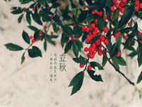 杭州禹格网络科技有限公司
