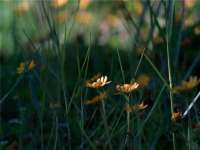 杭州禹格网络科技有限公司