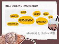 杭州禹格网络科技有限公司