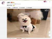 杭州禹格网络科技有限公司