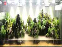 杭州禹格网络科技有限公司