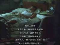 杭州禹格网络科技有限公司
